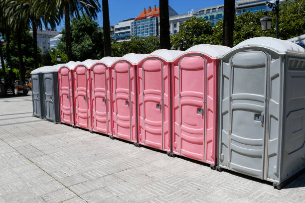 Best Eco-Friendly Portable Toilets  in Whitehall, WI